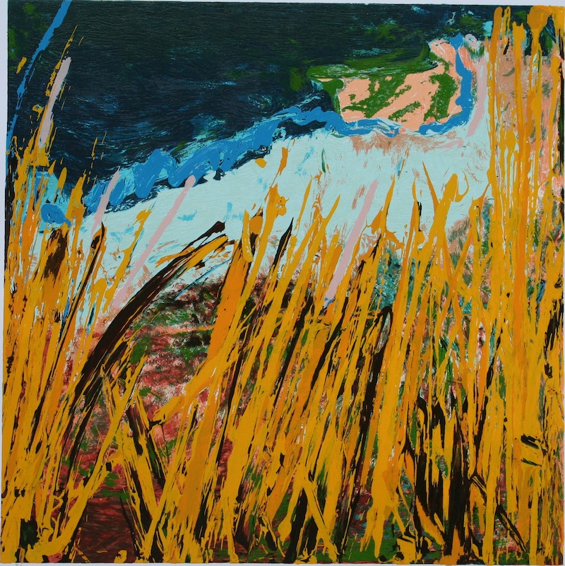 schifano campo da terra 100x100