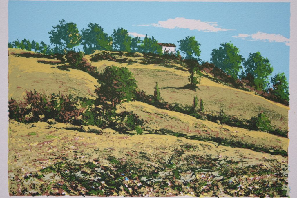 Rodolfo Tonin stampato da Paoliarte di Paolo Paoli collina serigrafia su carta 45x35